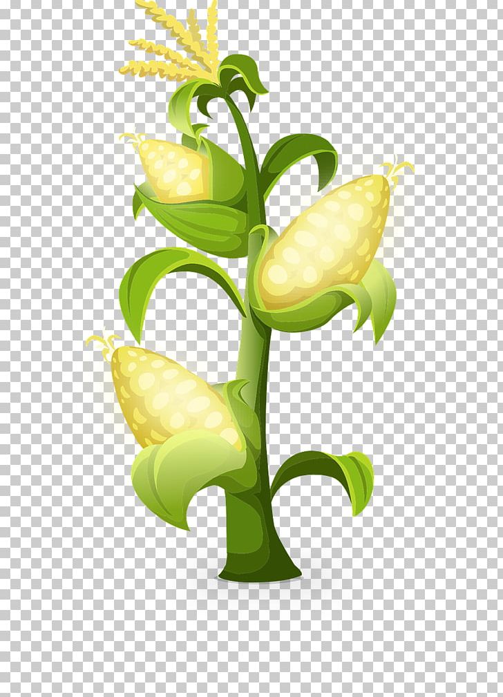 Pixabay Decomposer Worksheet Illustration PNG, Clipart, Corn, Decomposer, Decomposition, Euclidean Vector, Floral Design Free PNG Download