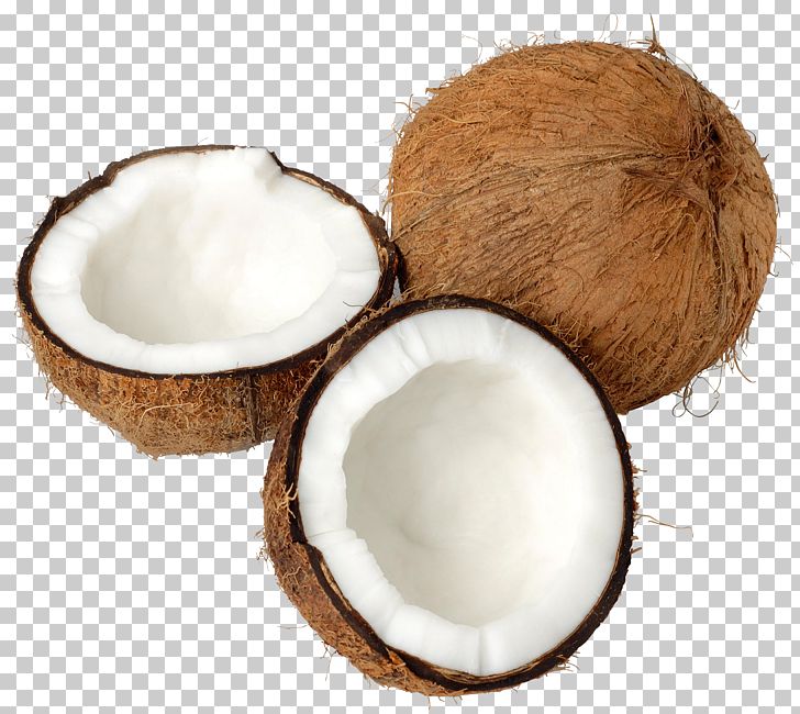 Transparent Coconut PNG, Clipart, Clipart, Coconut, Fruit, Fruits, Png Free PNG Download