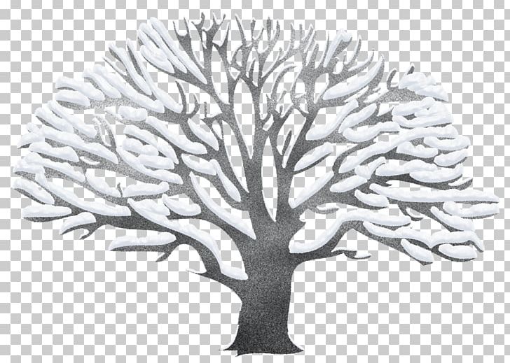 Tree PNG, Clipart, Black, Black And White, Branch, Clip Art, Clipart Free PNG Download