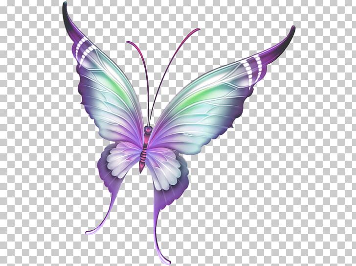 Butterfly Insect Paper PNG, Clipart, Animal, Blue, Brush Footed Butterfly, Butterflies And Moths, Butterfly Free PNG Download