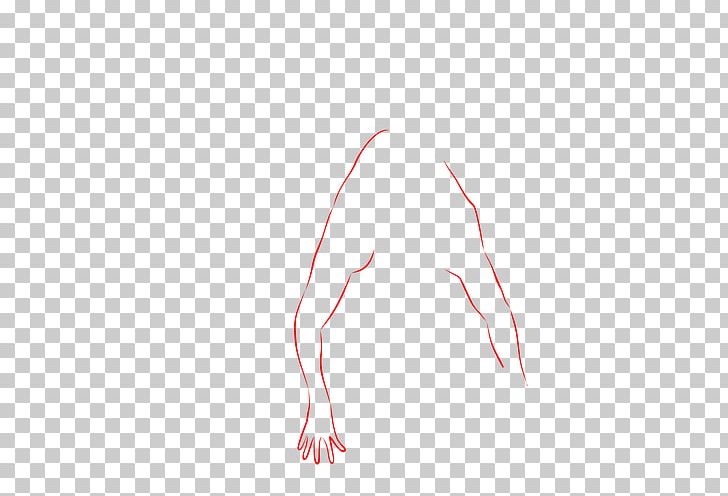 Mammal Finger Angle Point PNG, Clipart, Angle, Arm, Finger, Hand, Human Body Free PNG Download