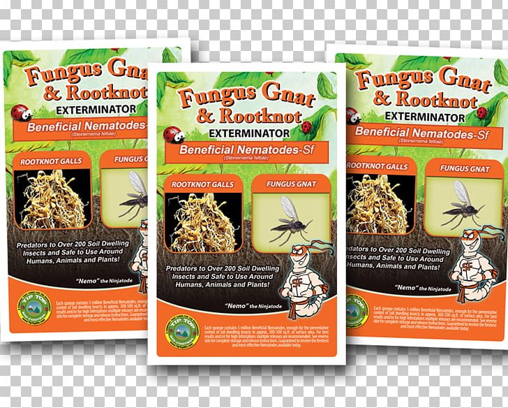 Fungus Gnat Insect Heterorhabditis Bacteriophora Roundworms PNG, Clipart, Animal, Animals, Beneficial Insects, Convenience Food, Fly Free PNG Download