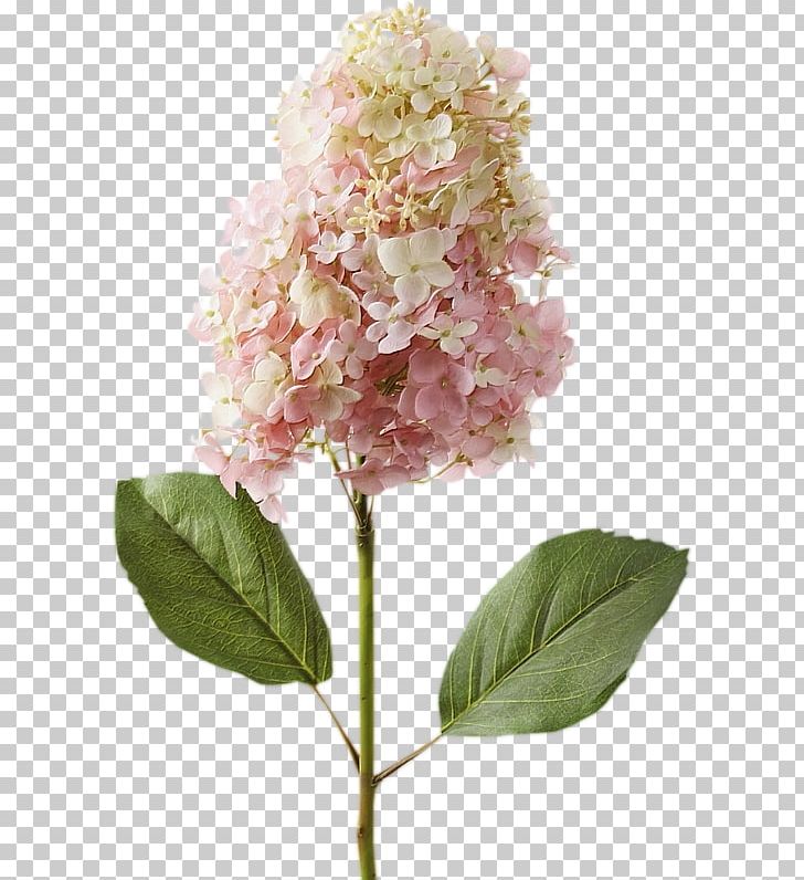 Hydrangea Flower Bouquet Artificial Flower Cut Flowers PNG, Clipart, Artificial, Artificial Flower, Arumlily, Cornales, Cut Flowers Free PNG Download