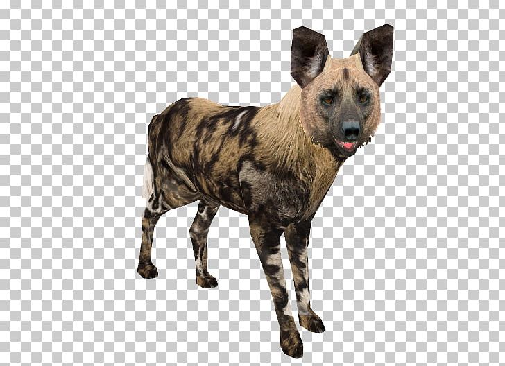 African Wild Dog Dhole Dog Breed Zoo Tycoon 2: Marine Mania PNG, Clipart, African Wild Dog, Animals, Breed, Carnivoran, Chien Free PNG Download