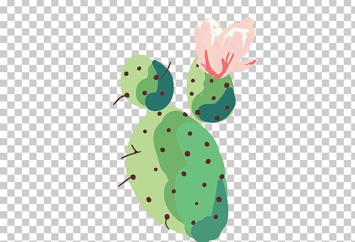 Cactaceae Thorns PNG, Clipart, Cactus, Cactus Cartoon, Cactus Flower, Cactus Vector, Cactus Watercolor Free PNG Download