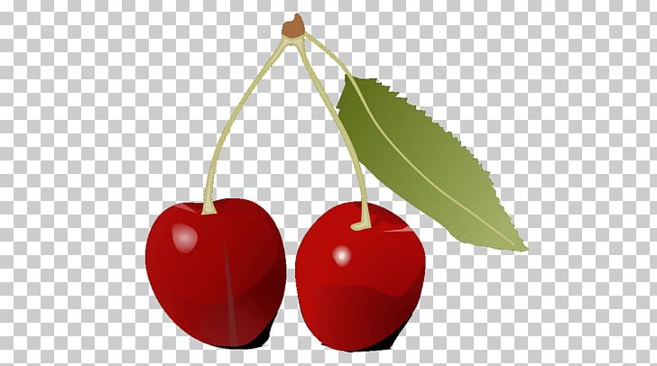 Cherry Food Fruit PNG, Clipart, Apple, Art, Cherry, Child, Child Prodigy Free PNG Download