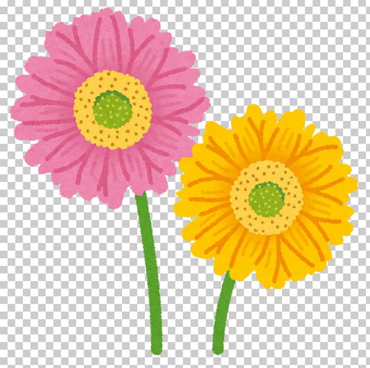 Child Photography いらすとや PNG, Clipart, Adult, Child, Chrysanths, Cut Flowers, Daisy Free PNG Download