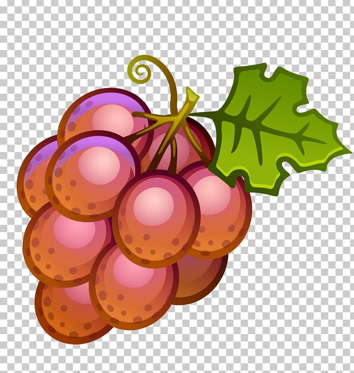 Common Grape Vine Wine PNG, Clipart, Christmas Ornament, Flowering Plant, Food, Fruit, Fruit Nut Free PNG Download