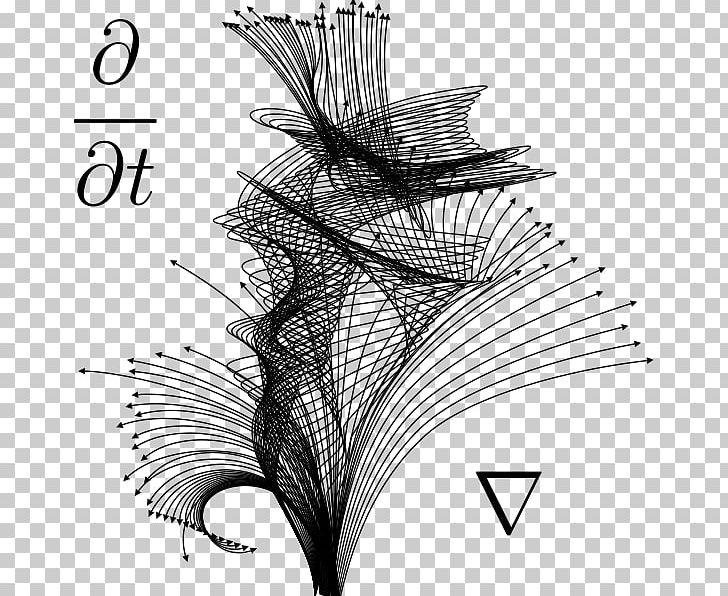 Differential Equation Engineering Technology Science Mathematics PNG, Clipart, Angle, Black And White, Branch, Calculus, Course Free PNG Download