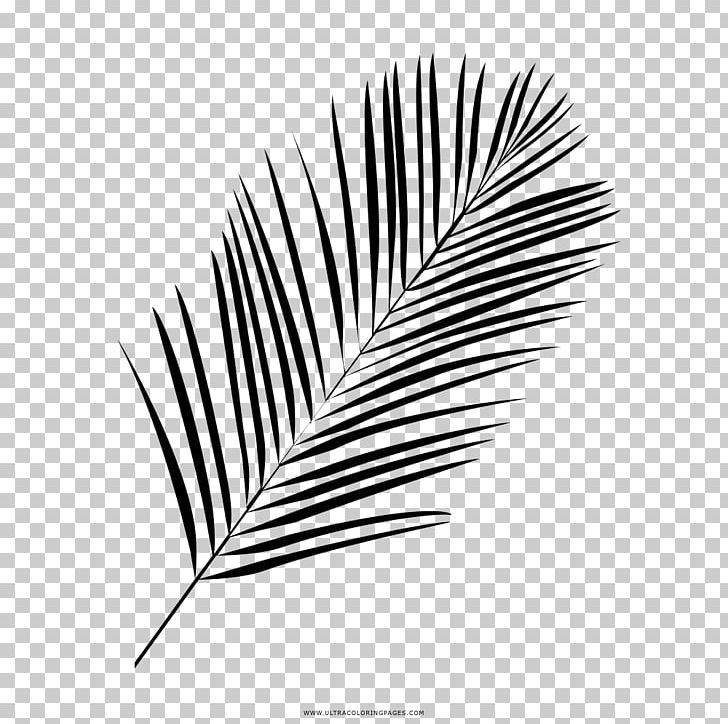 Drawing Black And White Leaf Coloring Book PNG, Clipart, Black, Black And White, Book, Color, Coloring Book Free PNG Download