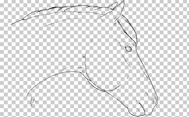 Drawing Mustang Line Art Sketch PNG, Clipart, Artwork, Black And White, Cartoon, Character, Drawing Free PNG Download