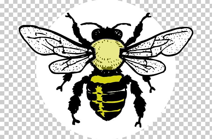 European Dark Bee Honey Bee PNG, Clipart, Artwork, Bee, Bee Clipart, Beehive, Black And White Free PNG Download