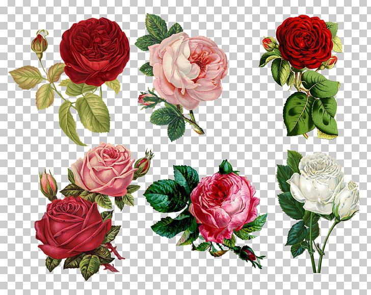 IPhone 8 Plus Flower IPhone 6 Rose PNG, Clipart, Artificial Flower, Cut Flowers, Desktop Wallpaper, Electronics, Floribunda Free PNG Download