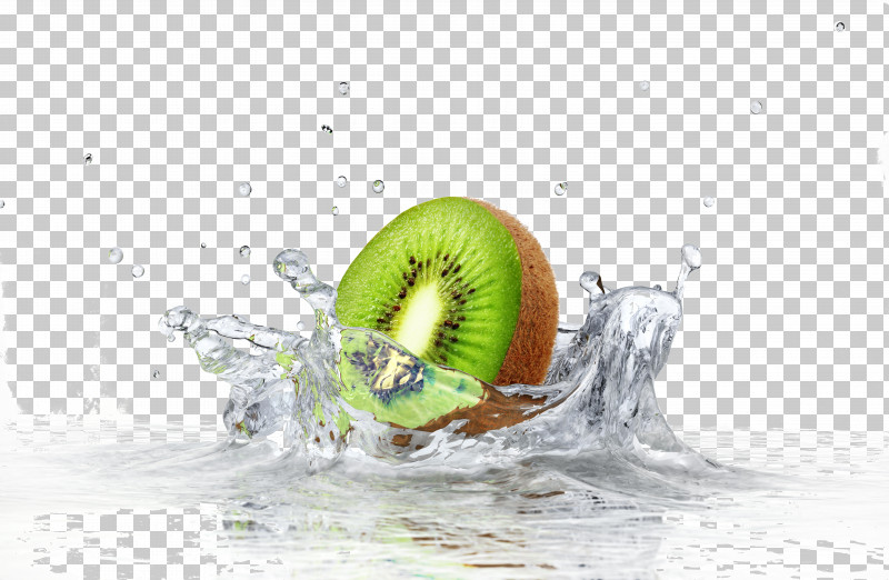 Water Kiwifruit Fruit Plant Liquid PNG, Clipart, Fruit, Kiwifruit, Liquid, Plant, Water Free PNG Download