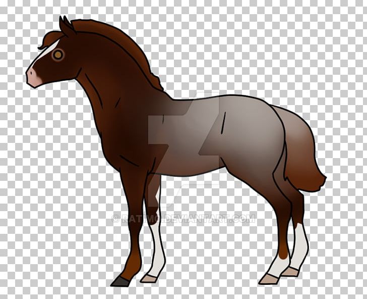 Foal Mane Stallion Bridle Mare PNG, Clipart, Bridle, Colt, English Riding, Equestrian, Foal Free PNG Download