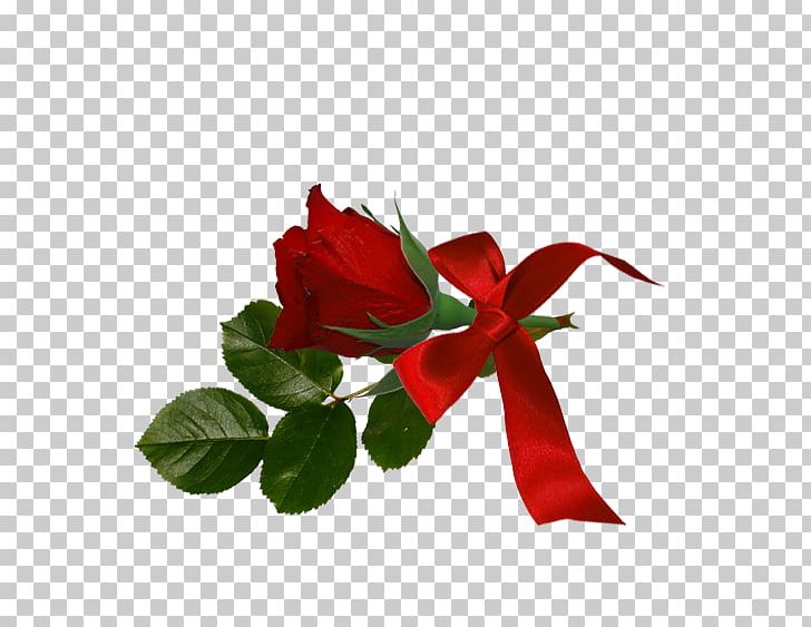 Garden Roses Floral Design Cut Flowers PNG, Clipart, Cut Flowers, Floral Design, Floristry, Flower, Flowering Plant Free PNG Download