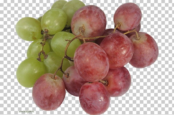 Grape Food Seedless Fruit Wine PNG, Clipart, Amazon Grape, Berry, Food, Fruit, Fruit Nut Free PNG Download