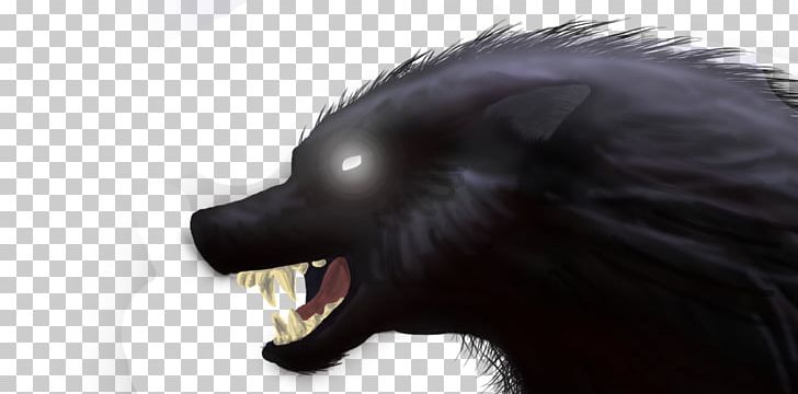 Black Wolf Snout Dog Fur PNG, Clipart, Animal, Animals, Art, Black Wolf,  Canidae Free PNG Download