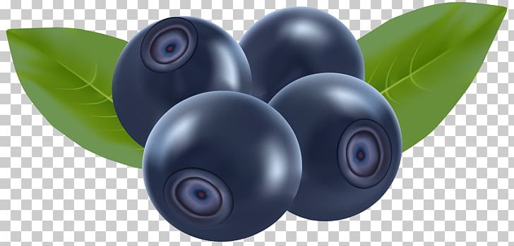 Blueberry PNG, Clipart, Berry, Bilberry, Blog, Blueberries, Blueberries Png Free PNG Download
