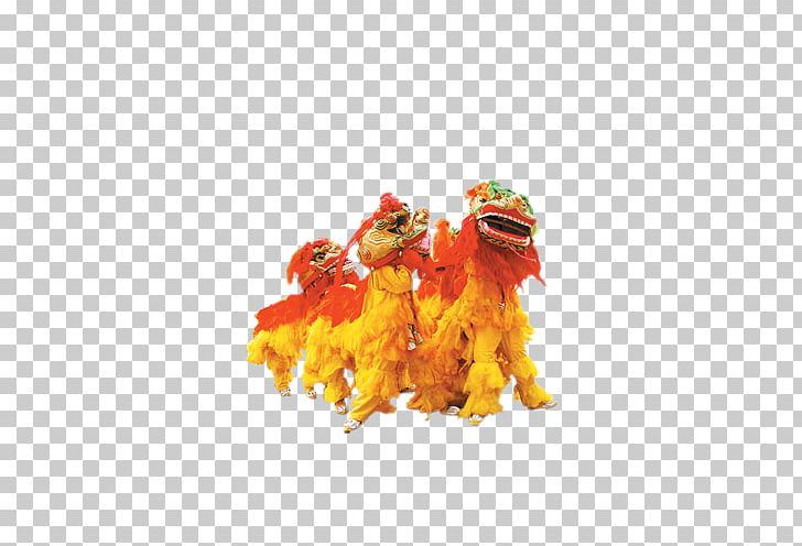 Lion Dance Dragon Dance Folk Dance Chinese New Year PNG, Clipart, Animals, Animation, Art, Chinese Guardian Lions, Circus Lion Free PNG Download