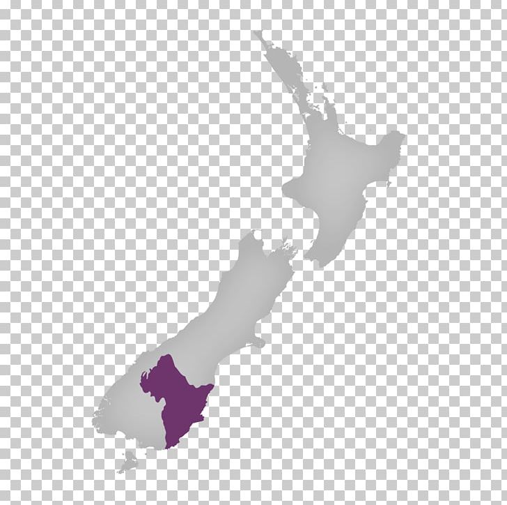 New Zealand Map Stock Photography PNG, Clipart, Blank Map, City Map, Map, New Zealand, Otago Free PNG Download