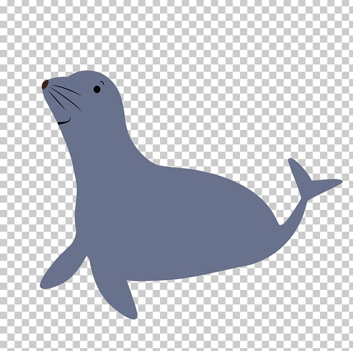 Tucuxi Sea Lion Dolphin Wildlife Beak PNG, Clipart, Animal, Animals, Animated Cartoon, Beak, Dolphin Free PNG Download