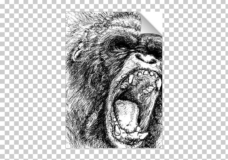 Western Gorilla Ape Chimpanzee Primate Drawing PNG, Clipart,  Free PNG Download