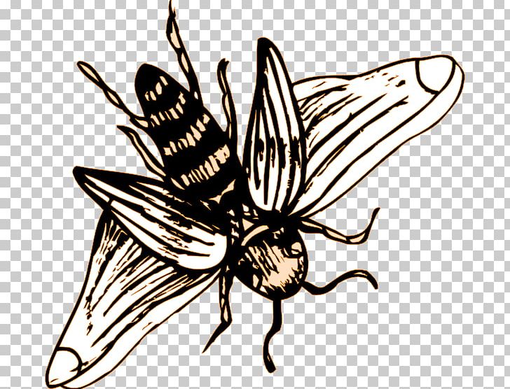 Brush-footed Butterflies European Dark Bee Insect Drawing PNG, Clipart, Animals, Apidae, Brush Footed Butterfly, Fictional Character, Flower Free PNG Download