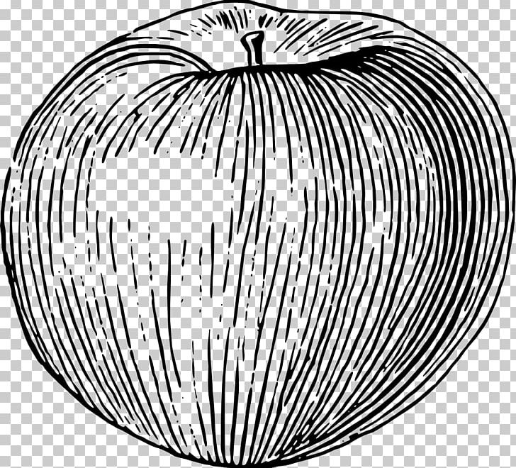 Caramel Apple Candy Apple Drawing PNG, Clipart, Apple, Apples, Black And White, Candy Apple, Caramel Apple Free PNG Download