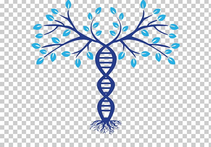  Family  Tree  DNA  Genealogy Phylogenetic Tree  PNG Clipart 