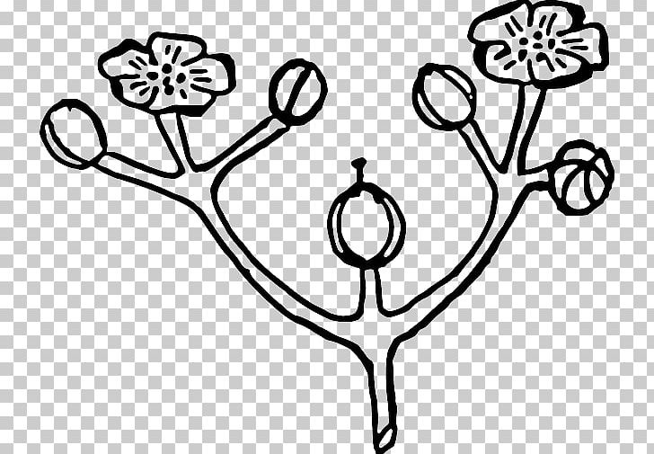Flower Rose PNG, Clipart, Art, Artwork, Black And White, Botany, Branch Free PNG Download