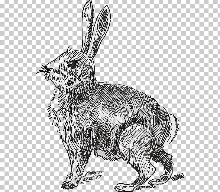 Hare White Rabbit The Velveteen Rabbit PNG, Clipart, Animal Figure, Art, Black And White, Carnivoran, Dog Like Mammal Free PNG Download