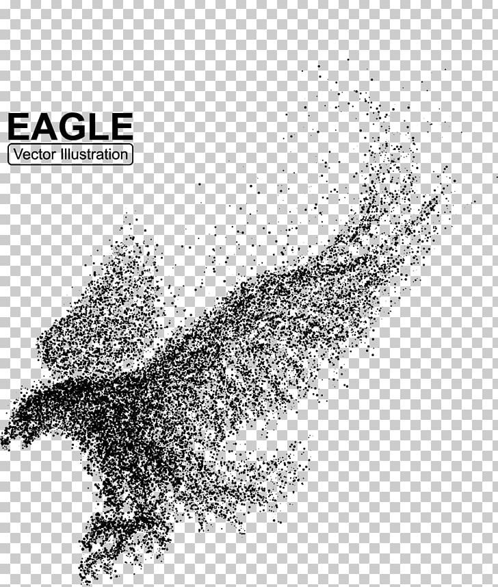 Bald Eagle Bird Illustration PNG, Clipart, Animal, Bald Eagle, Bird, Black And White, Creative Free PNG Download