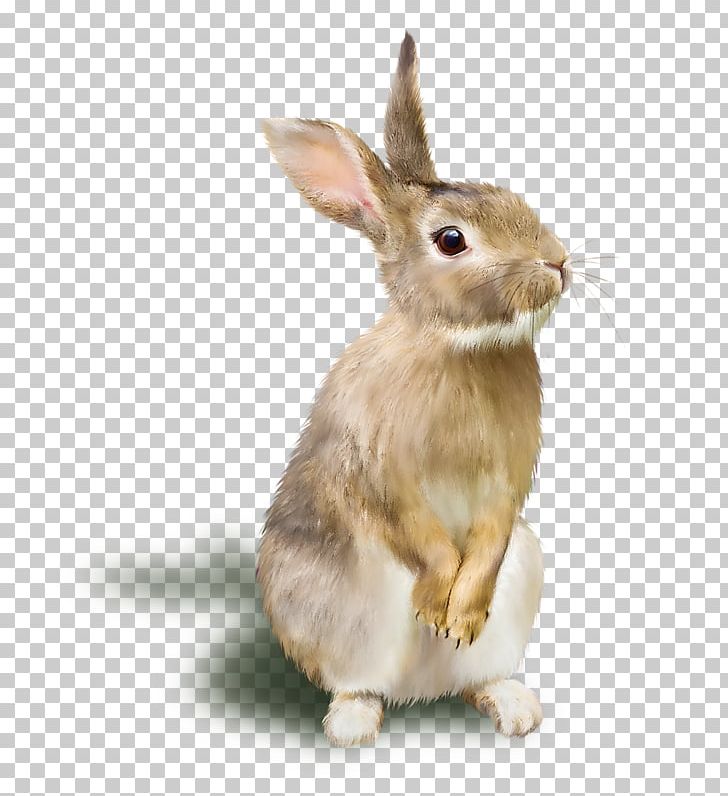 Domestic Rabbit TIFF PNG, Clipart, Domestic Rabbit, Download, Encapsulated Postscript, Fauna, Hare Free PNG Download