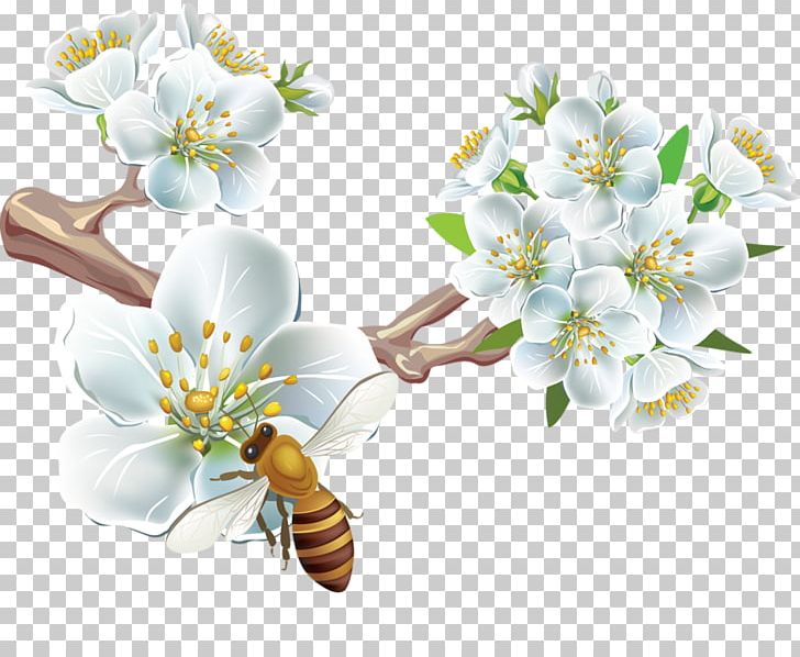 Flower Photography PNG, Clipart, Blossom, Branch, Cherry Blossom, Cicek, Computer Wallpaper Free PNG Download