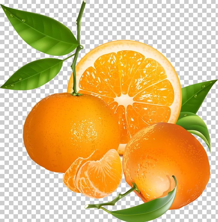 Orange Tangerine PNG, Clipart, Bitter Orange, Chenpi, Citric Acid, Citrus, Food Free PNG Download