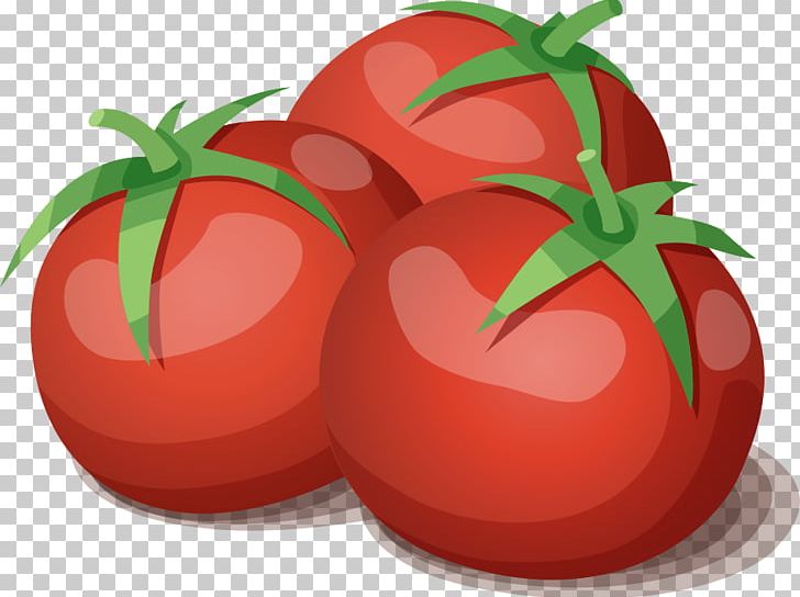 Tomato Juice Vegetarian Cuisine Vegetable PNG, Clipart, Cartoon, Cooking, Diet Food, Food, Fruit Free PNG Download
