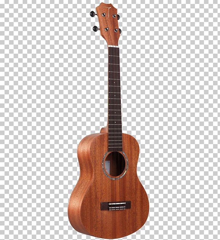 Ukulele Musical Instrument Guitar Fingerboard String Instrument PNG, Clipart, Cuatro, Double Bass, Guitar Accessory, Musical Instrument, Musical Instruments Free PNG Download