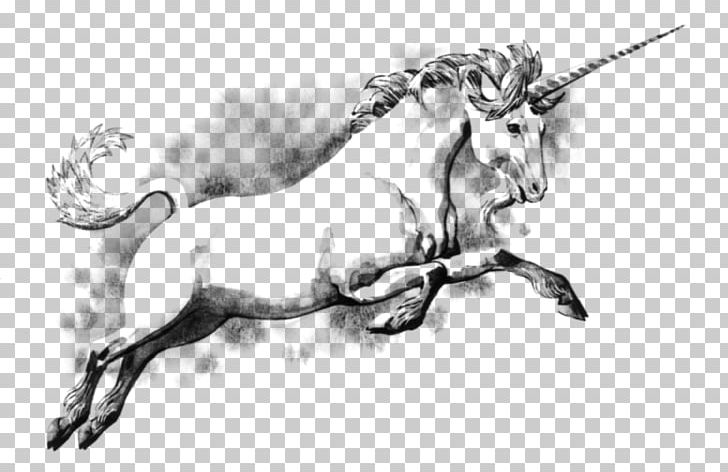 Unicorn Legendary Creature Scotland Fairy Tale Drawing PNG, Clipart, Art, Being, Black And White, Book, Cattle Like Mammal Free PNG Download