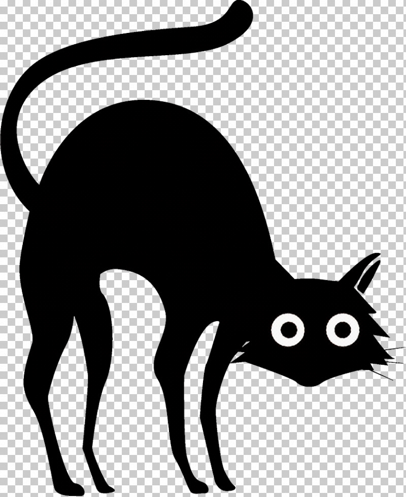Black Cat Halloween Cat PNG, Clipart, Abyssinian, Blackandwhite, Black Cat, Cat, Halloween Free PNG Download