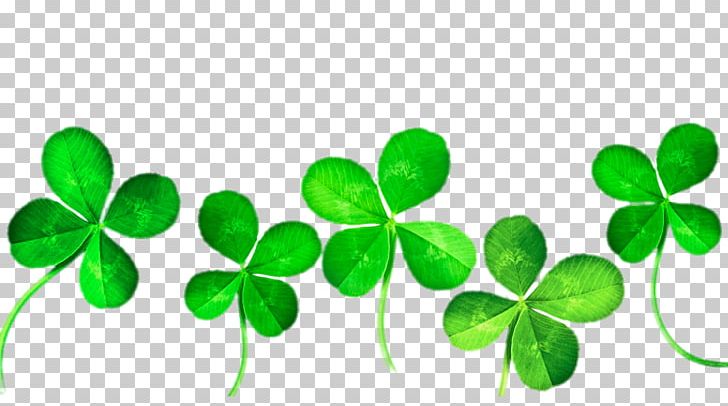 Four-leaf Clover PNG, Clipart, Clover, Clover Border, Elements, Flowers, Fourleaf Clover Free PNG Download