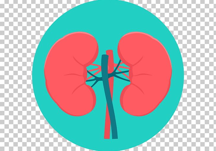 Kidney Excretory System Surgery Medicine Urology PNG, Clipart, Bacteria, Circle, Computer Icons, Disease, Excretory System Free PNG Download