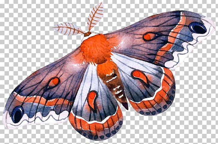 Monarch Butterfly Moth PNG, Clipart, Arthropod, Blue Butterfly, Bombycidae, Brush Footed Butterfly, Butterflies Free PNG Download