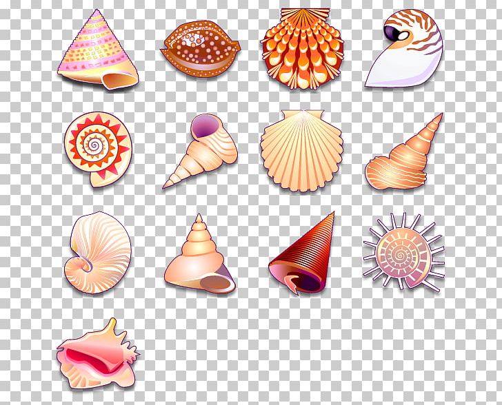 Seashell Computer Icons PNG, Clipart, Animals, Clip Art, Computer, Computer Icons, Conch Free PNG Download