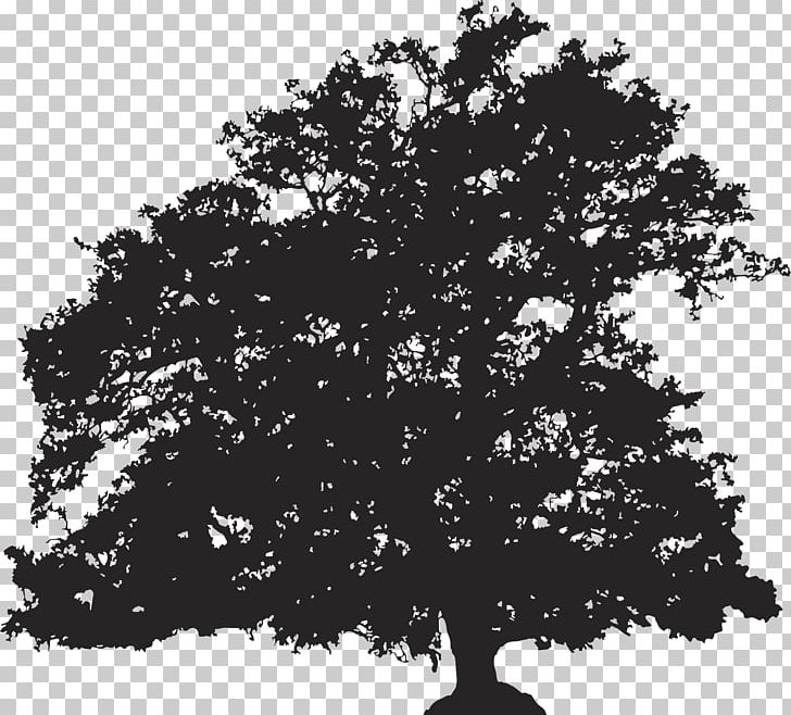 Silhouette Tree Drawing Illustration PNG, Clipart, Animals, Black And White, Branch, Cartoon, Christmas Tree Free PNG Download