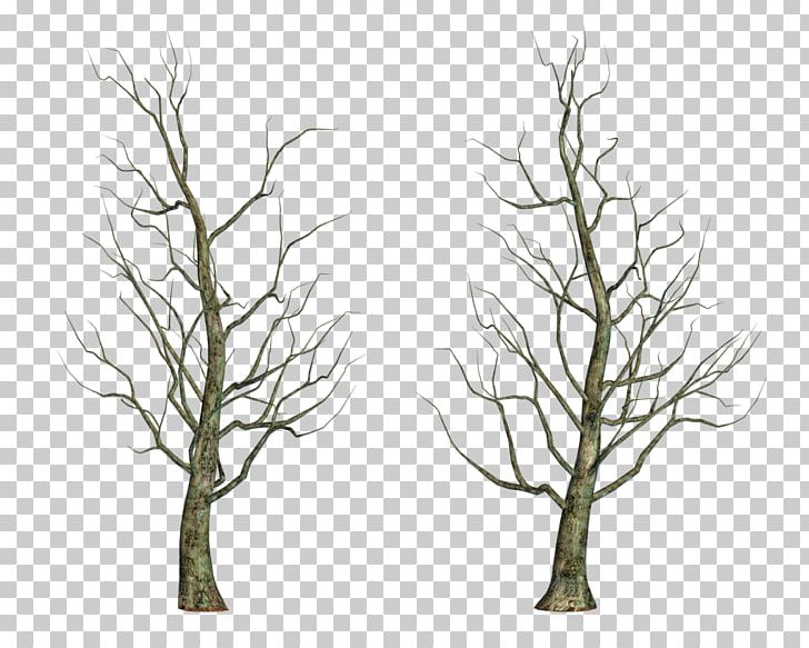 Tree Drawing PNG, Clipart, Art, Branch, Drawing, Grass, Leaf Free PNG Download