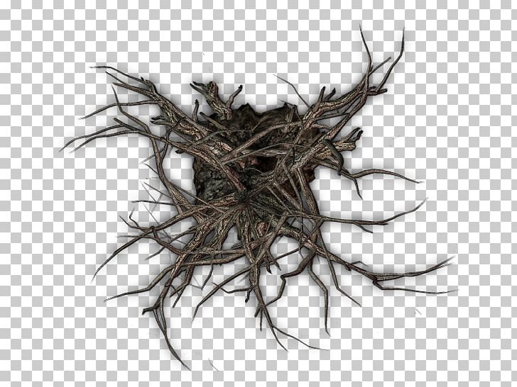 A PNG, Clipart, Apng, Bird Nest, Branch, Creepy, Display Resolution Free PNG Download