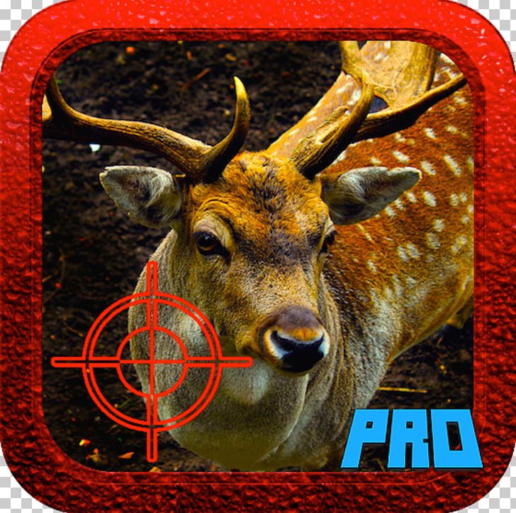 Red Deer White-tailed Deer Reindeer Moose PNG, Clipart, Animal, Animals, Antler, Closeup, Deer Free PNG Download