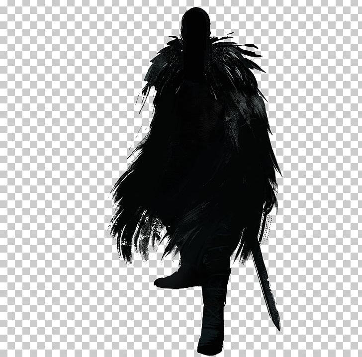 Black M Silhouette White Feather PNG, Clipart, Animals, Beak, Black, Black And White, Black M Free PNG Download