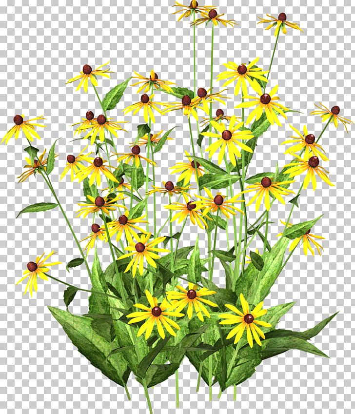 Chrysanthemum Indicum Yellow Flower Chrysanthemum Tea Color PNG, Clipart, Chrysanthemum, Chrysanthemum Chrysanthemum, Chrysanthemums, Daisy Family, Flowering Plant Free PNG Download